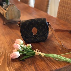 Rare Vintage Saint Cloud Micro Mini Cross Body Bag